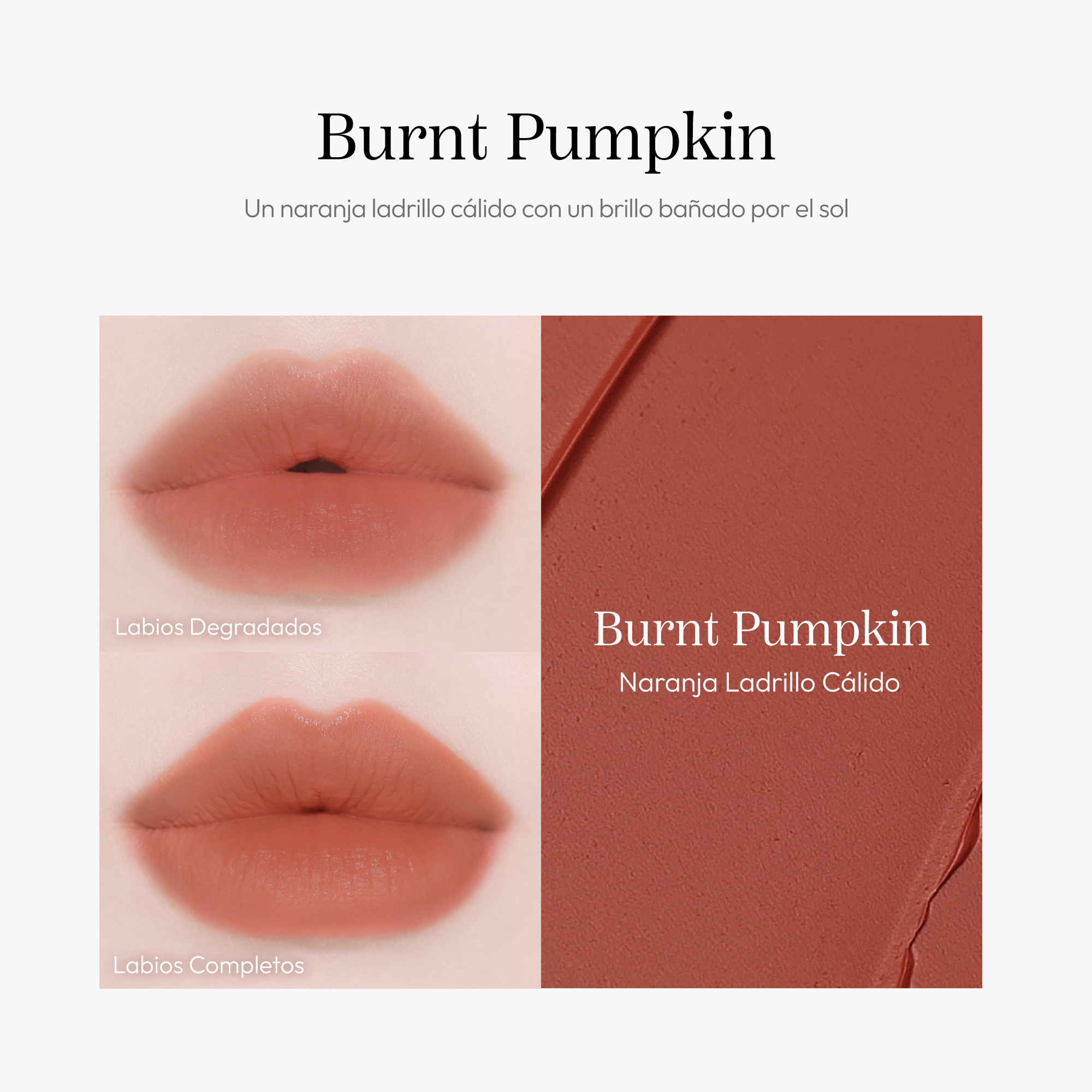 Hevvy Makeup Blurring Effect Lip Tint - Burnt Pumpkin